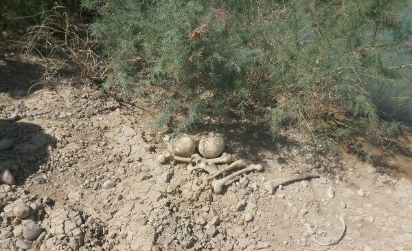 اجساد یک قبرستان آب شرب روستاییان را متعفن کرد! +تصاویر