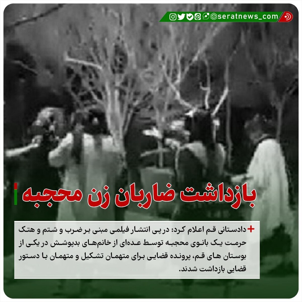 بازداشت ضاربان زن محجبه + فیلم