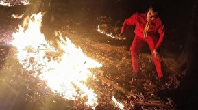 فیلم| آتش‌سوزی در جنگل‌های آستارا