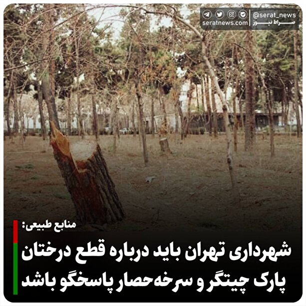 منابع طبیعی: شهرداری تهران باید درباره قطع درختان پارک چیتگر و سرخه‌حصار پاسخگو باشد